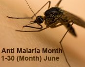 Anti Malaria Month